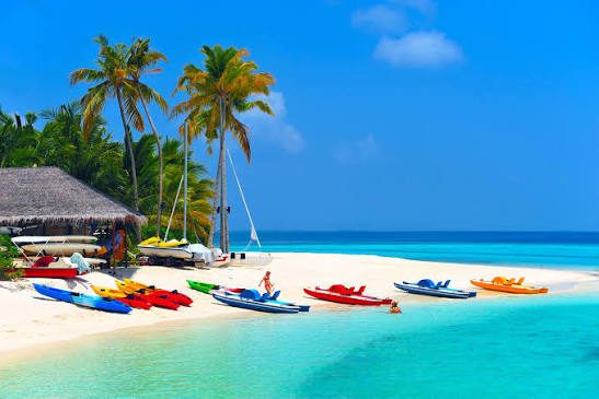 Tropical island beach with kayaks and palm trees