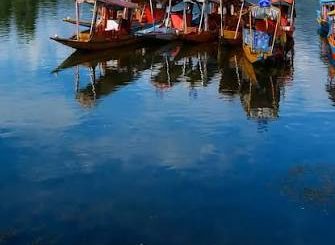 Shikara boats on Dal Lake, Kashmir
