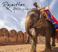 Decorated elephant at Amber Palace, Rajasthan